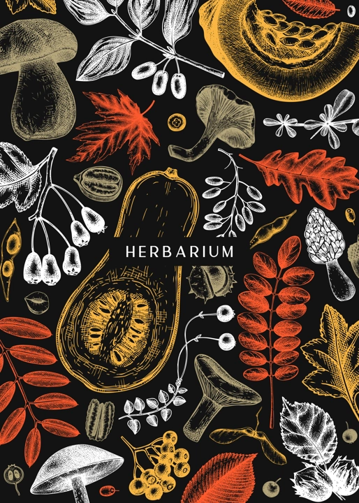 Hand sketched autumn card or invitation design in color. Elegant botanical template with autumn leaves, berries, seeds, nuts, mushroom sketches. Perfect for flyers, menu, label, packaging.